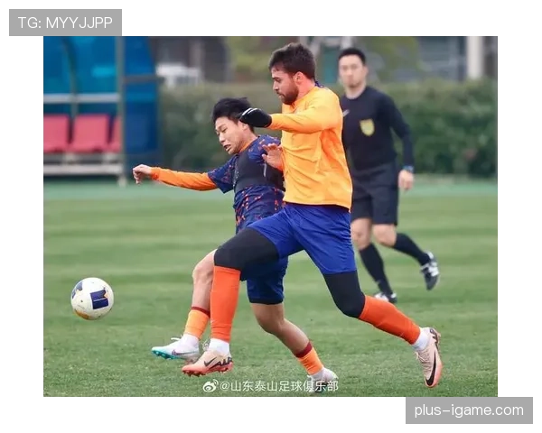 山东泰山亚冠赛场强势崛起，勇攀亚洲足球新高峰